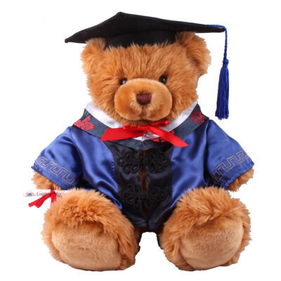 Angefüllte weiche Plüsch-Spielwaren 18 Zoll-Doktor-Graduation Teddybär für Sammlungs-Feier
