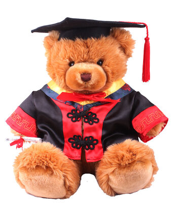 Angefüllte weiche Plüsch-Spielwaren 18 Zoll-Doktor-Graduation Teddybär für Sammlungs-Feier